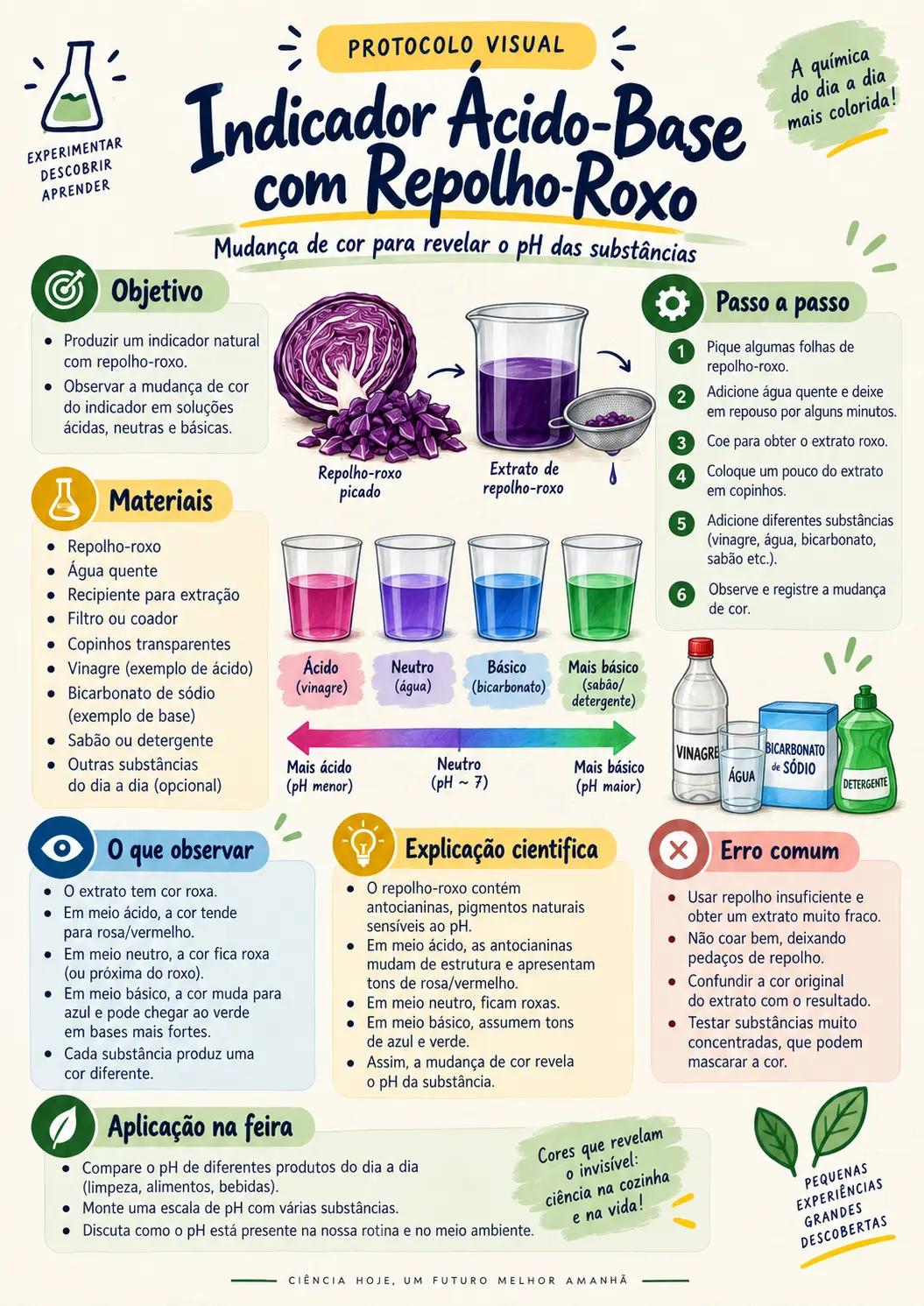 Indicador Ácido-Base com Repolho-Roxo
